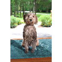 Dog Gone Smart™ Dirty Dog Doormat™ Pacific Blue 31" x 20"