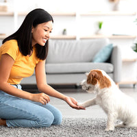 Pet Eyes Beef Food Topper Vitamin Powder 190 Scoops