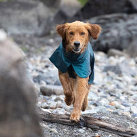 RC Pets Stormrunner Jacket  Deep Sea (NEW)