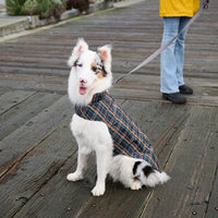 RC Pets Delta Rain Slicker Lemon
