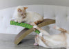 Outward Hound® Petstages® Invironment Easy Life Hammock Scratcher
