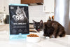 Go Dental + Immune Health Chicken + Salmon Recipe With Grains Cat