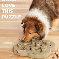 Outward Hound® Nina Ottosson® Hide N' Slide Dog Puzzle