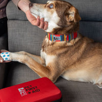 RC Pets Pet First Aid Kit SALE
