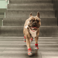 RC Pets Fun Pawks Pineapple SALE