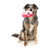 FuzzYard Dog Toy - Valentines Day Oh Snap Camera (NEW)
