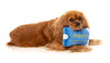 FuzzYard Dog Toy - Dogbuster Card