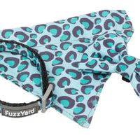 FuzzYard Wild One Aqua - Cat Fashion Pack