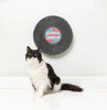 FuzzYard Kendrick Lemeow - Record Cat Scratcher