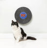 FuzzYard Meow Punk - Record Cat Scratcher