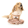 FuzzYard Octo-Posse Dog Toy - Sir David Octoborough