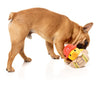 FuzzYard Firequacker - Dog Toy