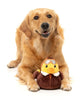 FuzzYard Amelia Quackhart - Dog Toy (NEW)