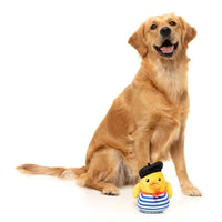 FuzzYard Timotheé Chalaquack - Dog Toy (NEW)