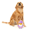 FuzzYard Sirius Quack - Dog Toy (NEW)