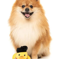 FuzzYard Timotheé Chalaquack - Dog Toy (NEW)