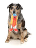 FuzzYard Dog Toy - Franky (NEW)