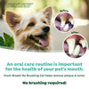 Tropiclean Fresh Breath No Brushing Clean Teeth Dental & Oral Care Gel for Dogs Peanut Butter 2 oz