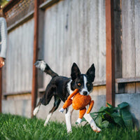 PET PLAY – Plush Toy Holiday Turkey