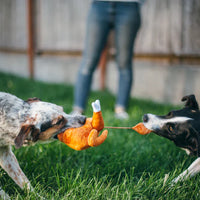 PET PLAY – Plush Toy Holiday Turkey