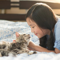 Pet Eyes Freeze-Dried Vitamin Treats for Cats - Chicken