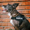Julius-K9 IDC® Powerharness Black
