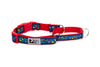 RC Pets Easy Clip Web Training Collar - Feeling Folksy SALE