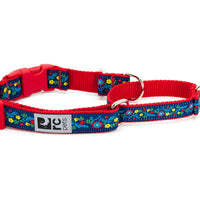 RC Pets Easy Clip Web Training Collar - Feeling Folksy SALE