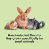 Kaytee Timothy Hay Plus Marigolds Small Animal 24 oz