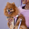 Rogz Fast-Fit Adjustable Urban Dog Harness Pink Blush