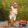 Grill Time 8" Puzzle Dog Toy