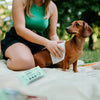 TICKLESS® Citronella Dog Wipes Natural Insect Wipes