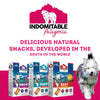 Granville Indomitable Patagonia Grain Free Human Grade Biscuit Treats Puppy 460 g