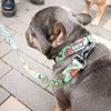 Coastal Sublime Tattoo Sleeve Leash 1" x 6'