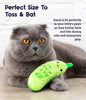 Outward Hound® Petstages® Crunchy Pickle Kicker Dental Cat Toy