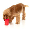 FuzzYard  Interactive Chew Toy