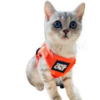 Travel Cat "The True Adventurer" Reflective Cat & Kitten Harness and Leash