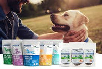 CannaBiscuit Hemp-Based Veterinary Health Product Gut Health 225g