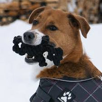 Shedrow K9 Bear Rope Dog Toy