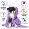 Espree® Calming Lavender & Chamomile 2-in-1 Shampoo & Conditioner for Dogs 20oz