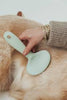 Dexypaws Slicker Brush Medium