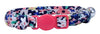 Li'l Pals Kitten Collar - Kittens & Petite Cats