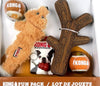 Kong® Fun Pack Medium for Dogs (5ct)