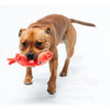 FuzzYard Dog Toy - Meat Heads Brad Wurst (NEW)