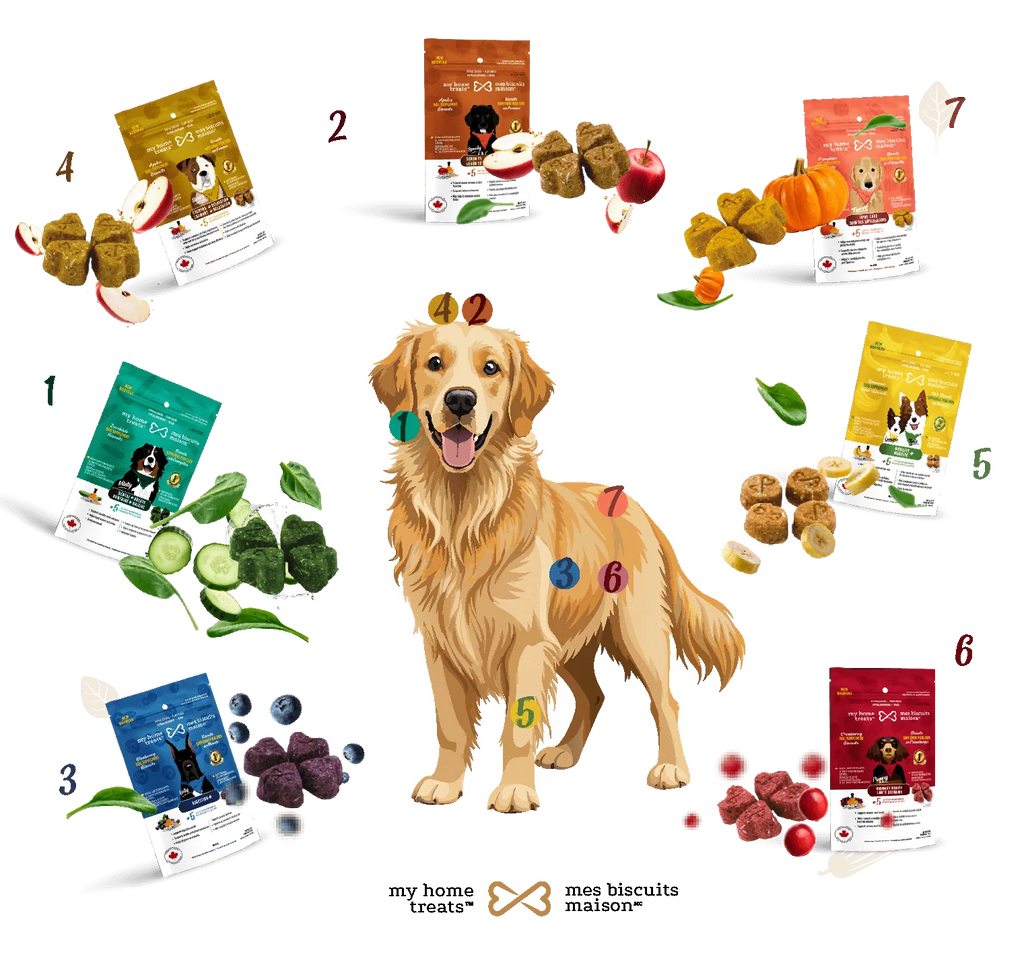 My Home Treats At the Waterpark (NEW)