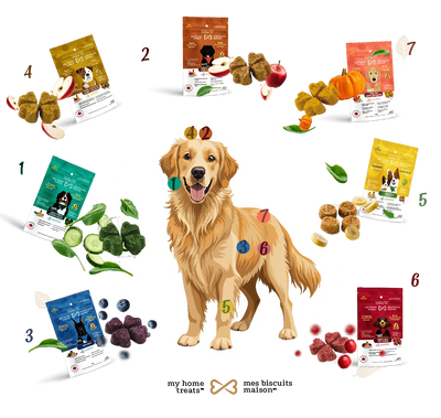 My Home Treats At the Waterpark (NEW)