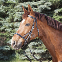 Waldhausen Star Bitless Bridle Black Full 2 SALE