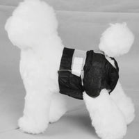 PAWISE Black Disposable Diapers - 12pk