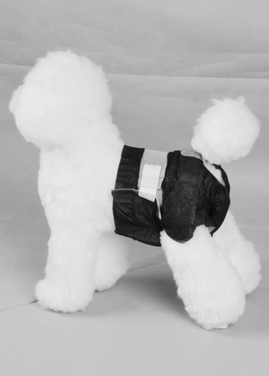 PAWISE Black Disposable Diapers - 12pk