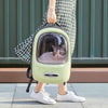 Instachew Breezy Smart Cat Carrier Tiffany Blue SALE